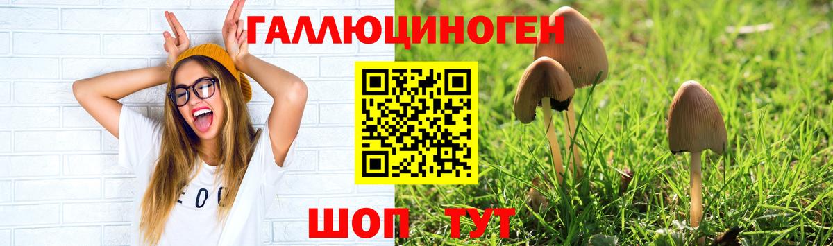 Псилоцибиновые грибы ЛСД  Вход с VPN  Ревда  закладка  Галлюциногенные грибы MAGIC MUSHROOMS 